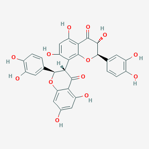molecular formula C30H22O13 B1252885 (2R,2'R,3S,3'R)-2,2'-bis(3,4-dihydroxyphenyl)-3',5,5',7,7'-pentahydroxy-2,2',3,3'-tetrahydro-4H,4'H-3,8'-bichromene-4,4'-dione 