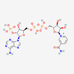 molecular formula C21H29N7O17P3+ B1252906 α-NADP(+) 