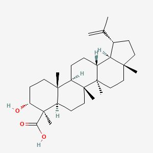 molecular formula C30H48O3 B1252987 Lupeolic acid CAS No. 87355-32-6
