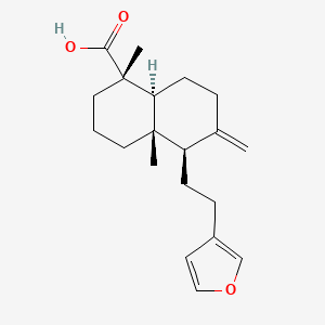 molecular formula C20H28O3 B1253079 Polyalthic acid 
