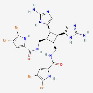 molecular formula C22H22Br4N10O2 B1253205 N-[[(1R,2S,3S,4R)-2,3-双(2-氨基-1H-咪唑-5-基)-4-[[(4,5-二溴-1H-吡咯-2-羰基)氨基]甲基]环丁基]甲基]-4,5-二溴-1H-吡咯-2-甲酰胺 
