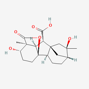 molecular formula C19H26O6 B1253430 赤霉酸A2 