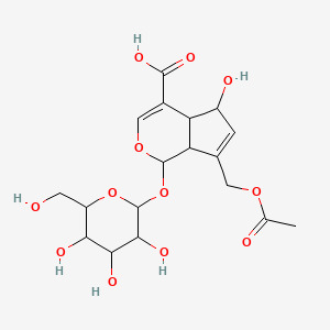 molecular formula C18H24O12 B1253466 7-(Acetyloxymethyl)-5-hydroxy-1-[3,4,5-trihydroxy-6-(hydroxymethyl)oxan-2-yl]oxy-1,4a,5,7a-tetrahydrocyclopenta[c]pyran-4-carboxylic acid 