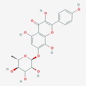 molecular formula C21H20O11 B1253477 3,5,8-trihydroxy-2-(4-hydroxyphenyl)-7-[(2S,3R,5R,6S)-3,4,5-trihydroxy-6-methyloxan-2-yl]oxychromen-4-one 