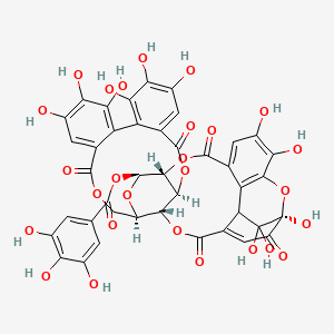 molecular formula C41H28O27 B1253564 [(1R,7R,8S,26R,28S,29R)-1,13,14,15,18,19,20,34,35,39,39-undecahydroxy-2,5,10,23,31-pentaoxo-6,9,24,27,30,40-hexaoxaoctacyclo[34.3.1.04,38.07,26.08,29.011,16.017,22.032,37]tetraconta-3,11,13,15,17,19,21,32,34,36-decaen-28-yl] 3,4,5-trihydroxybenzoate 