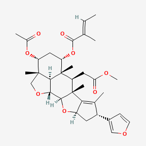 molecular formula C34H44O9 B1253597 [(1R,2R,4R,6R,9R,10R,11R,12S,14R,15R,18R)-14-acetyloxy-6-(furan-3-yl)-10-(2-methoxy-2-oxoethyl)-7,9,11,15-tetramethyl-3,17-dioxapentacyclo[9.6.1.02,9.04,8.015,18]octadec-7-en-12-yl] (E)-2-methylbut-2-enoate 
