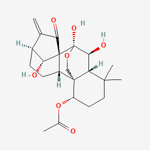 molecular formula C22H30O7 B1253777 [(1S,2S,5S,8R,9S,10S,11R,15S,18R)-9,10,18-trihydroxy-12,12-dimethyl-6-methylidene-7-oxo-17-oxapentacyclo[7.6.2.15,8.01,11.02,8]octadecan-15-yl] acetate 