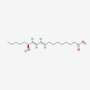 (9E,11E,13S)-13-hydroxyoctadeca-9,11-dienoic acid
