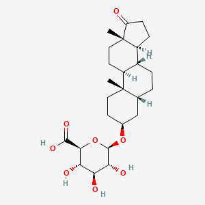 molecular formula C25H38O8 B1253824 雄烷酮-3-葡萄糖醛酸苷 