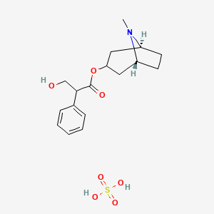 molecular formula C17H25NO7S B1253835 Hyoscyamine sulfate CAS No. 2472-17-5