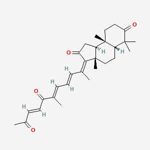 molecular formula C29H38O4 B1253966 (3Z,3aS,5aR,9aS,9bS)-3a,6,6,9a-tetramethyl-3-[(3E,5E,8E)-6-methyl-7,10-dioxoundeca-3,5,8-trien-2-ylidene]-4,5,5a,8,9,9b-hexahydro-1H-cyclopenta[a]naphthalene-2,7-dione 