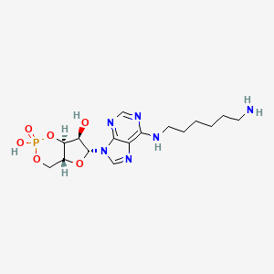 molecular formula C16H25N6O6P B1254090 N(6)-(6-aminohexyl)-cAMP 