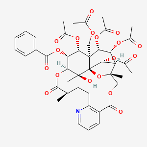 molecular formula C43H49NO18 B1254179 [(1S,3R,15R,18S,19R,20R,21R,22S,23R,24R,25R,26S)-20,22,23,25-tetraacetyloxy-21-(acetyloxymethyl)-26-hydroxy-3,15,26-trimethyl-6,16-dioxo-2,5,17-trioxa-11-azapentacyclo[16.7.1.01,21.03,24.07,12]hexacosa-7(12),8,10-trien-19-yl] benzoate 
