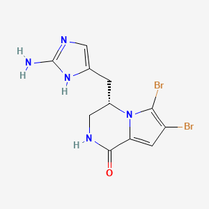 molecular formula C11H11Br2N5O B1254222 Cyclooroidin 