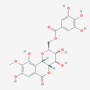 molecular formula C21H20O13 B1254397 [(2R,3R,4S,4aS,10bS)-3,4,8,10-tetrahydroxy-9-methoxy-6-oxo-3,4,4a,10b-tetrahydro-2H-pyrano[3,2-c]isochromen-2-yl]methyl 3,4,5-trihydroxybenzoate 