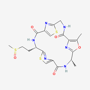 molecular formula C20H22N6O5S3 B1254512 tenuecyclamide D 