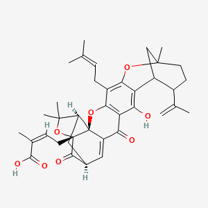 molecular formula C38H44O8 B1254513 (Z)-4-[(1S,2S,19S,21R)-14-hydroxy-8,23,23-trimethyl-5-(3-methylbut-2-enyl)-16,20-dioxo-11-prop-1-en-2-yl-3,7,22-trioxaheptacyclo[17.4.1.18,12.02,17.02,21.04,15.06,13]pentacosa-4(15),5,13,17-tetraen-21-yl]-2-methylbut-2-enoic acid 