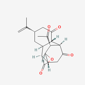 molecular formula C19H22O5 B1254544 Horiolide 