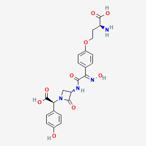 molecular formula C23H24N4O9 B1254766 (2S)-2-amino-4-[4-[(E)-C-[[(3S)-1-[(S)-carboxy-(4-hydroxyphenyl)methyl]-2-oxoazetidin-3-yl]carbamoyl]-N-hydroxycarbonimidoyl]phenoxy]butanoic acid 