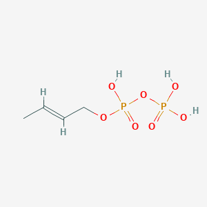molecular formula C4H10O7P2 B1254819 异戊二烯二磷酸 