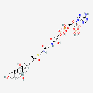 molecular formula C48H80N7O20P3S B1255124 (25R)-3α,7α,12α-三羟基-5β-胆甾烷-26-酰辅酶A 