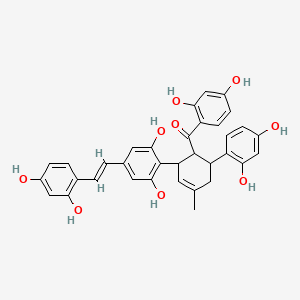 molecular formula C34H30O9 B1255128 Kuwanon Y CAS No. 105016-28-2