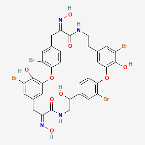 molecular formula C34H28Br4N4O9 B1255172 (12Z,25Z)-5,16,21,32-tetrabromo-4,20,29-trihydroxy-12,25-bis(hydroxyimino)-2,18-dioxa-10,27-diazapentacyclo[28.2.2.214,17.13,7.119,23]octatriaconta-1(32),3,5,7(38),14,16,19,21,23(35),30,33,36-dodecaene-11,26-dione 