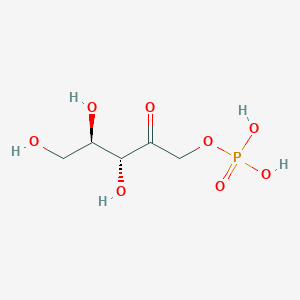 molecular formula C5H11O8P B1255173 D-ribulose 1-phosphate CAS No. 63323-91-1