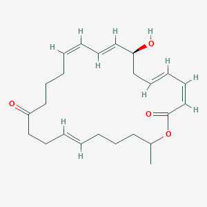 molecular formula C24H34O4 B1255249 大环内酯N 