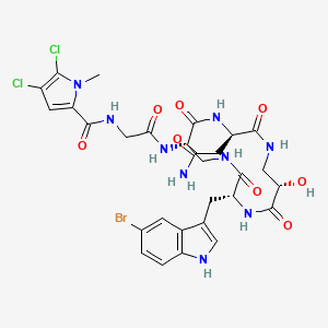 molecular formula C29H32BrCl2N9O8 B1255260 环环酰胺 B 