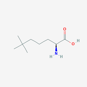 (2S)-2-amino-6,6-dimethylheptanoic acid