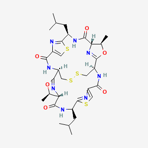 molecular formula C32H42N8O6S4 B1255718 (1R,4R,5S,8R,15R,18R,19S,22R)-4,18-dimethyl-8,22-bis(2-methylpropyl)-3,17-dioxa-10,24,30,31-tetrathia-7,14,21,28,33,34,35,36-octazahexacyclo[13.13.4.12,5.19,12.116,19.123,26]hexatriaconta-2(36),9(35),11,16(34),23(33),25-hexaene-6,13,20,27-tetrone 