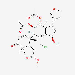 molecular formula C31H39ClO9 B1255733 Turrapubesin A 