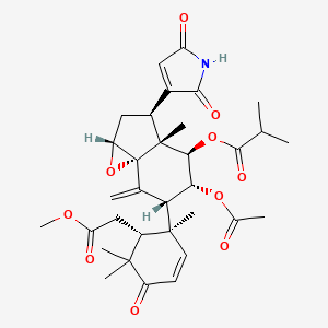 molecular formula C33H41NO10 B1255767 Turrapubesin B 