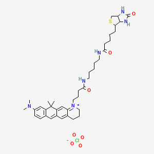 molecular formula C40H57ClN6O7S B1255822 9-(dimethylamino)-11,11-dimethyl-1-{4-oxo-4-[(5-{[5-(2-oxohexahydro-1H-thieno[3,4-d]imidazol-4-yl)pentanoyl]amino}pentyl)amino]butyl}-2,3,4,11-tetrahydronaphtho[2,3-g]quinolinium perchlorate 