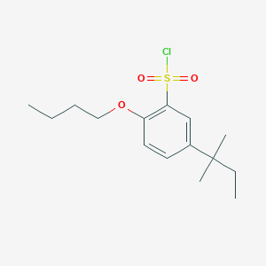 molecular formula C15H23ClO3S B12559665 2-Butoxy-5-(2-methylbutan-2-yl)benzene-1-sulfonyl chloride CAS No. 143193-41-3