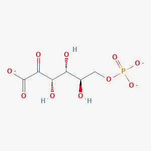 molecular formula C6H8O10P-3 B1256035 6-phospho-2-dehydro-D-gluconate(3-) 