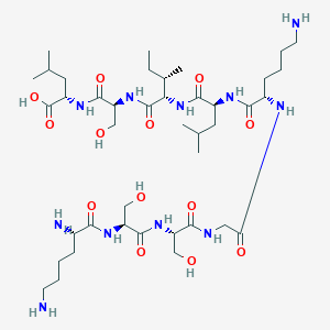 molecular formula C41H77N11O13 B12560826 L-Lysyl-L-seryl-L-serylglycyl-L-lysyl-L-leucyl-L-isoleucyl-L-seryl-L-leucine CAS No. 232933-99-2