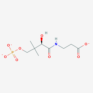 molecular formula C9H15NO8P-3 B1256144 (R)-4'-phosphonatopantothenate(3-) 