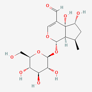 molecular formula C16H24O10 B1256162 5beta,6beta-Dihydroxyboschnaloside 