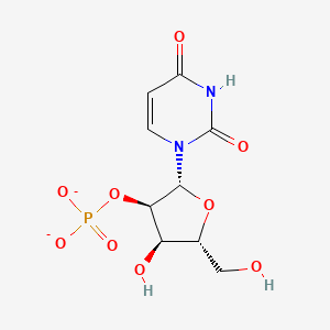 molecular formula C9H11N2O9P-2 B1256173 Uridine 2'-phosphate(2-) 