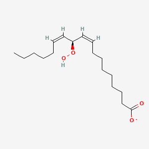 molecular formula C18H31O4- B1256178 (11S)-11-hydroperoxylinoleate 