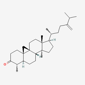 molecular formula C30H48O B1256185 Cycloeucalenone 