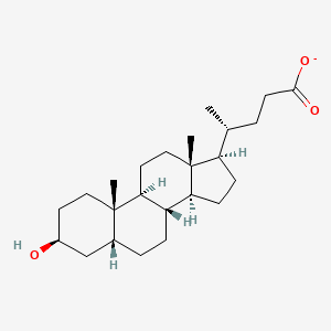molecular formula C24H39O3- B1256193 Isolithocholate 