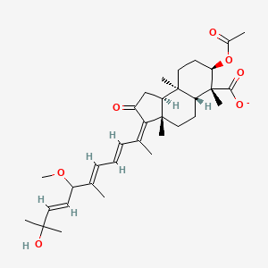 molecular formula C33H47O7- B1256208 globostellatate B(1-) 