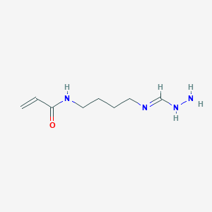 molecular formula C8H16N4O B12562759 N-{4-[(E)-(Hydrazinylmethylidene)amino]butyl}prop-2-enamide CAS No. 181147-64-8