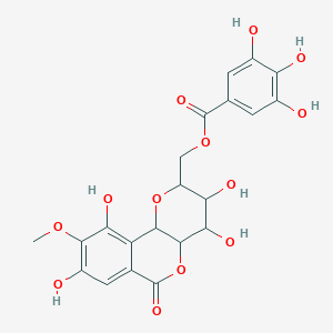 molecular formula C21H20O13 B1256305 (3,4,8,10-tetrahydroxy-9-methoxy-6-oxo-3,4,4a,10b-tetrahydro-2H-pyrano[3,2-c]isochromen-2-yl)methyl 3,4,5-trihydroxybenzoate CAS No. 82958-44-9