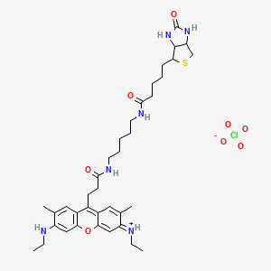molecular formula C37H53ClN6O8S B1256327 N-[6-(ethylamino)-2,7-dimethyl-9-{3-oxo-3-[(5-{[5-(2-oxohexahydro-1H-thieno[3,4-d]imidazol-4-yl)pentanoyl]amino}pentyl)amino]propyl}-3H-xanthen-3-ylidene]ethanaminium perchlorate 