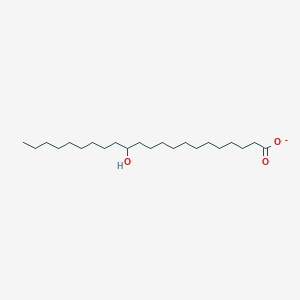 molecular formula C22H43O3- B1256354 13-羟基二十二烷酸 