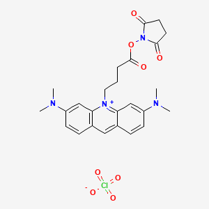 molecular formula C25H29ClN4O8 B1256406 3,6-Bis(dimethylamino)-10-{4-[(2,5-dioxopyrrolidin-1-yl)oxy]-4-oxobutyl}acridinium perchlorate 